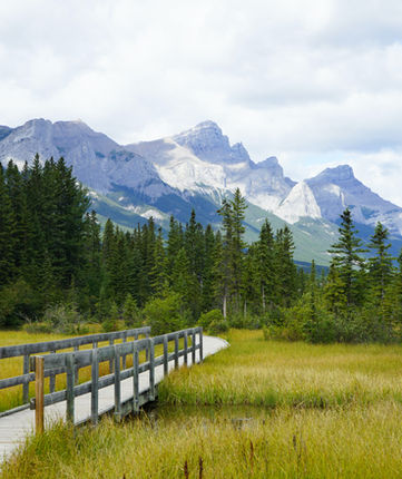 Mountains