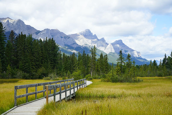 Mountains