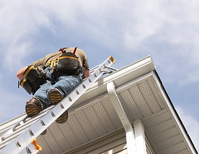Worker on Ladder