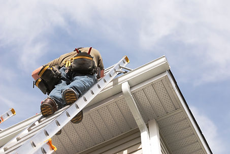 Worker on Ladder