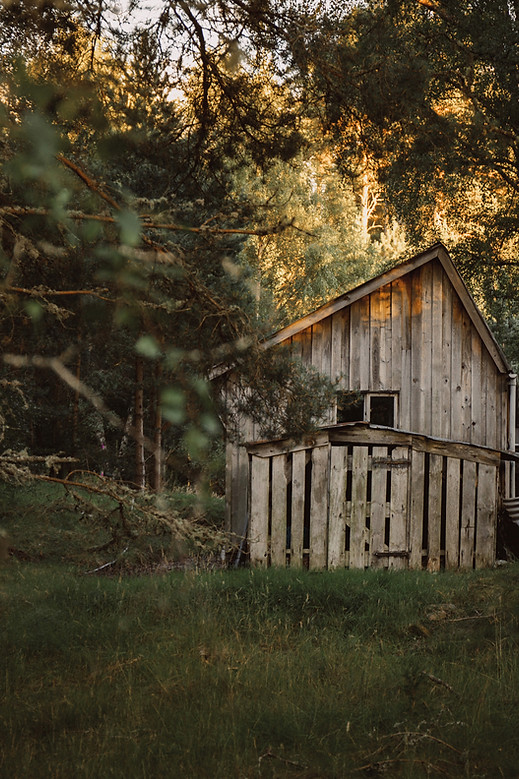 Wooden House