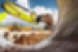Construction Site Machinery