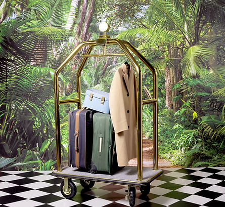 Luggage On Cart