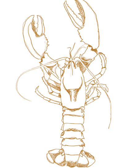 Lobster/Homard