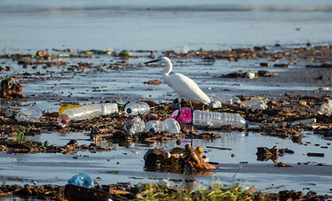 Plastic Isn't Going Away on Its Own. Here's How to Fix the Problem ...