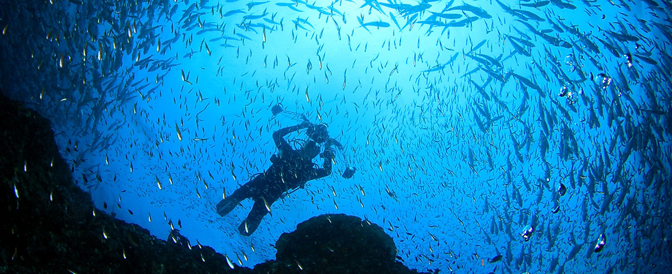 Underwater Diving Scene