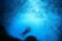 Underwater Photographer in School of Fish