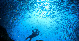 Global study identifies top sites for ocean current energy
