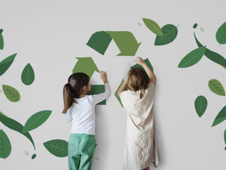 Sustainable Kitchen Favorites