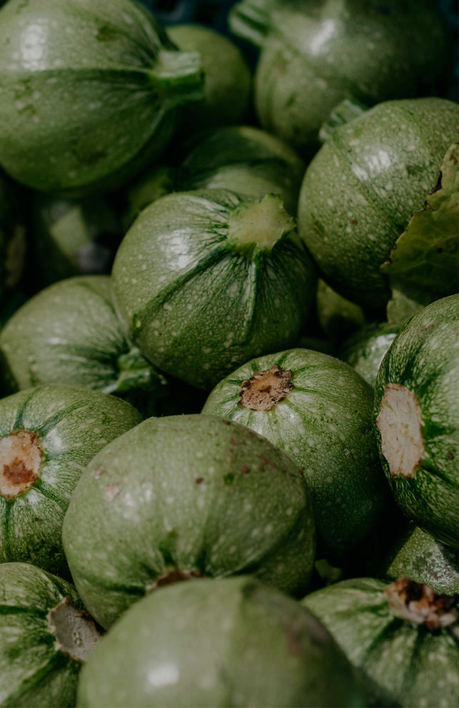 Courgettes rondes