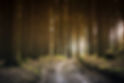 Wald