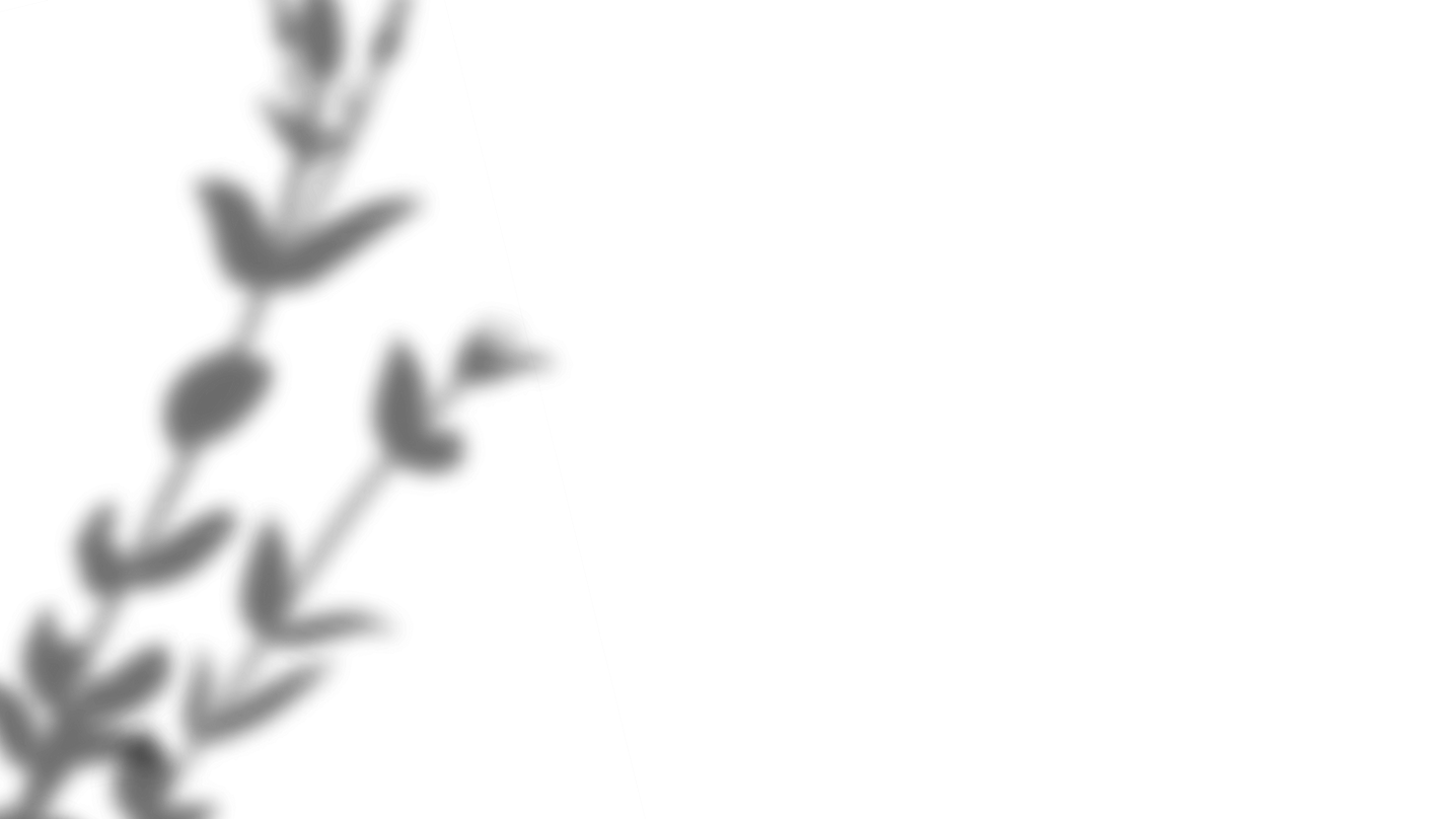 Design carré noir