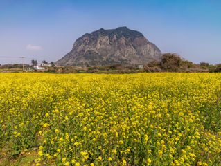 50代からの春は「足し算」より「引き算」から。