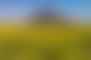 50代からの春は「足し算」より「引き算」から。