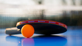 Cross-Harvard Team Places Sixth in National Table Tennis Championship