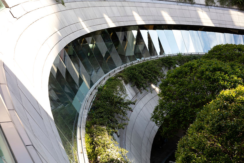 Nature Friendly Modern Building