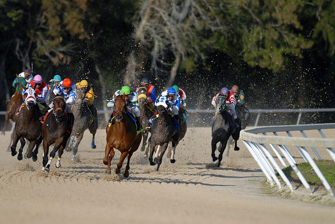 Horse Race