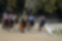 Horse Race