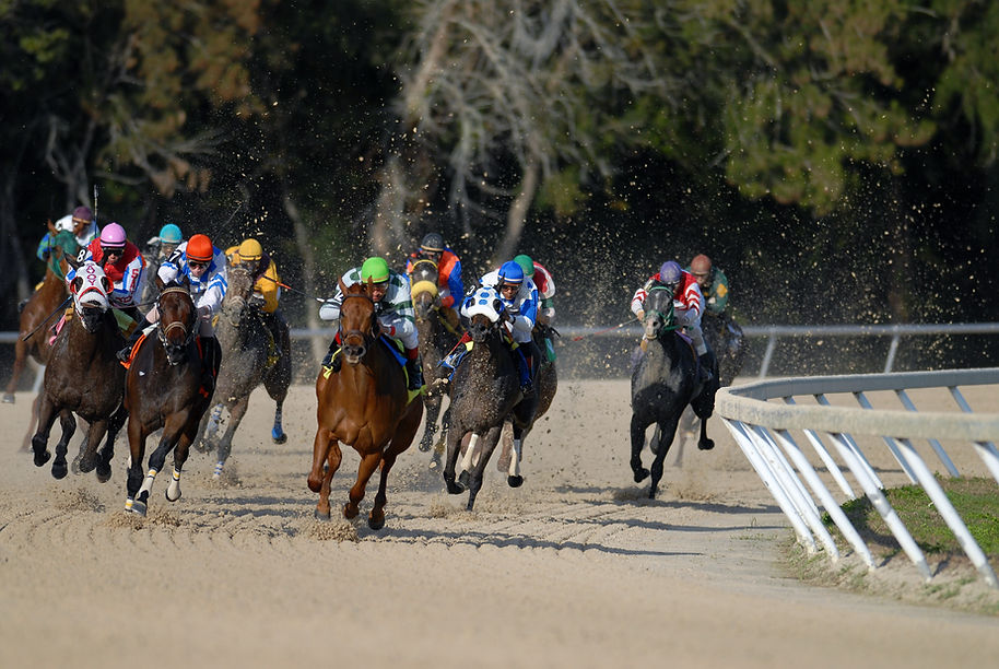 Horse Race