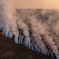 Field On Fire