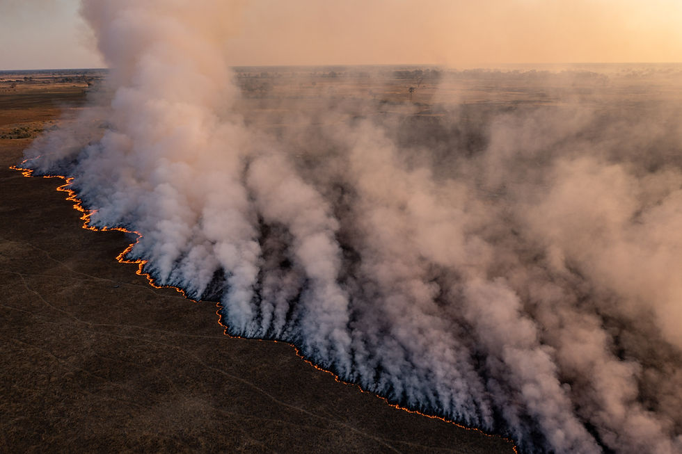Bushfire Attack Level Assessment | Part 6 Building Surveyors Melbourne
