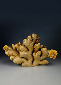 Ginger With Flowers