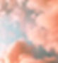 Orange Clouds