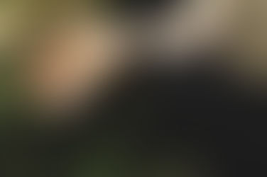 Yeni Başlayanlar İçin Meditasyon | Nedir, Neden Yapılması Gerekir?