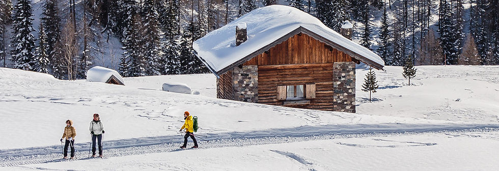 Holiday Cabin
