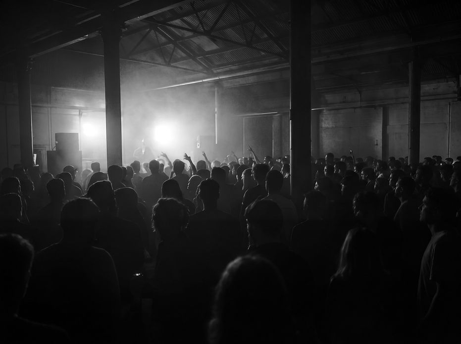 Concert Crowd Scene