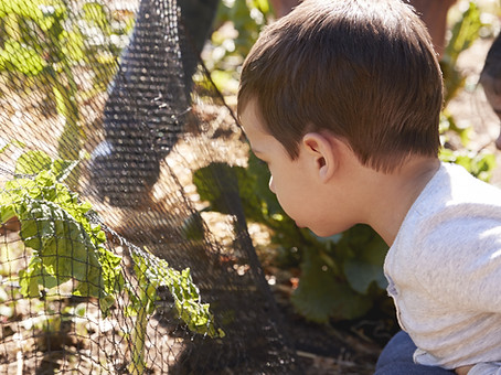 Children Gardening Together
