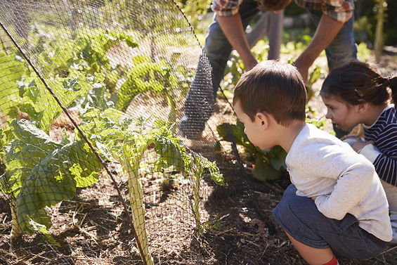 Children Gardening Together