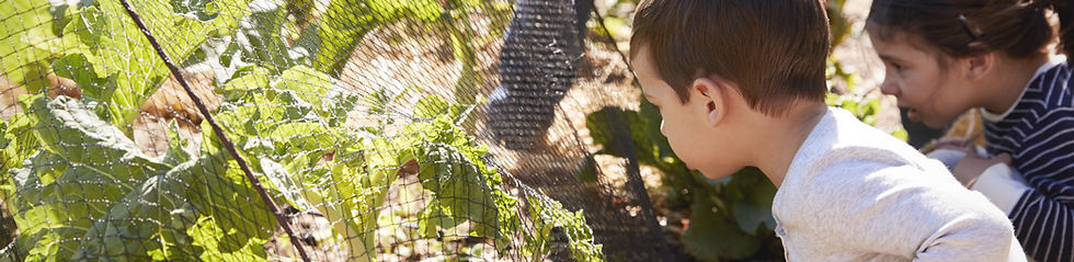 Herb Garden Planting: "Child planting herbs in a small pot to take home as part of a gardening activity." Native Plant Explor