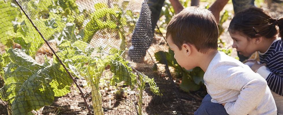 Children Gardening Together