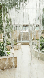 Jardin intérieur avec cascade