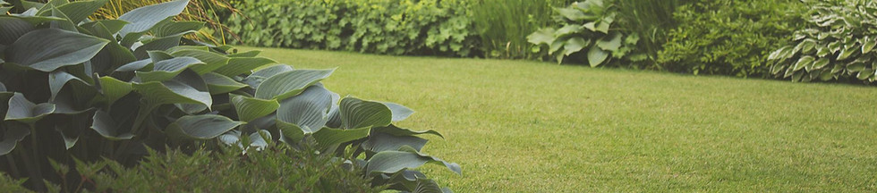 Lush Garden Scene