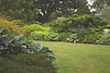 Lush Garden Landscape