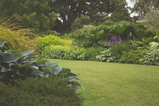 Scène de jardin luxuriant