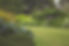 Lush Garden Landscape