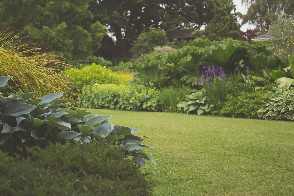 Lush Garden Scene