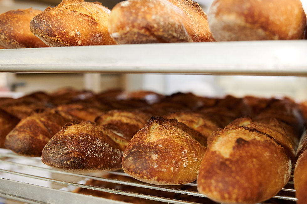 Fresh Bread