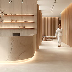 Modern Spa Reception