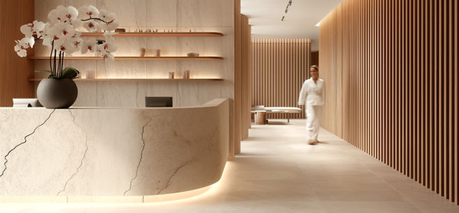 Modern Spa Reception