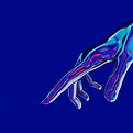 Pointing Hand