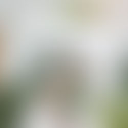 "เทรนด์ของใช้ในโรงแรมปี 2026: อะไรกำลังมา อะไรกำลังไป?"