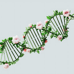 Floral DNA Structure