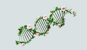 Floral DNA Representation