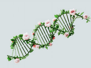 Floral DNA pattern indicating link between biology weights and neural network weights
