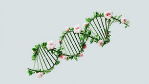 Changing the Very Foundation of Everything Around Us: CRISPR-Cas9 Gene Editing