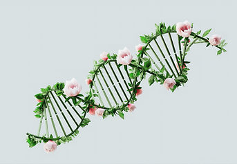 Floral DNA Structure